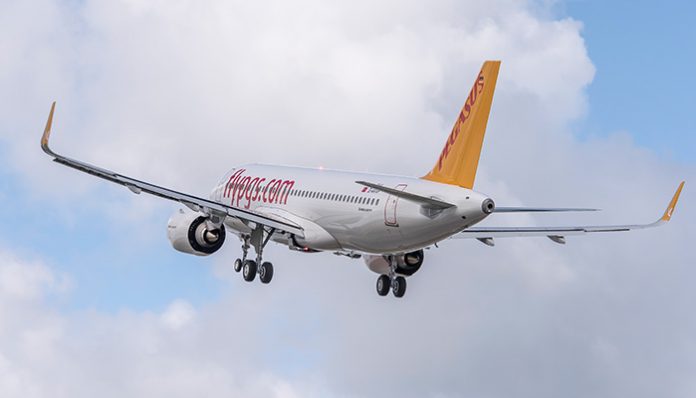 pegasus